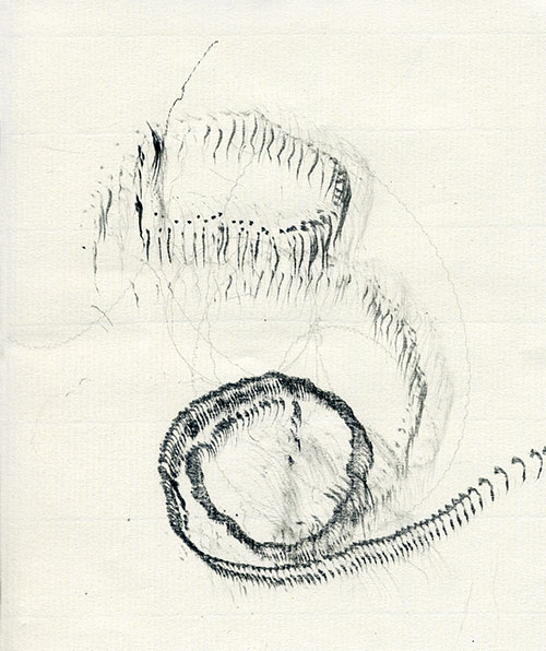 marcello mercado