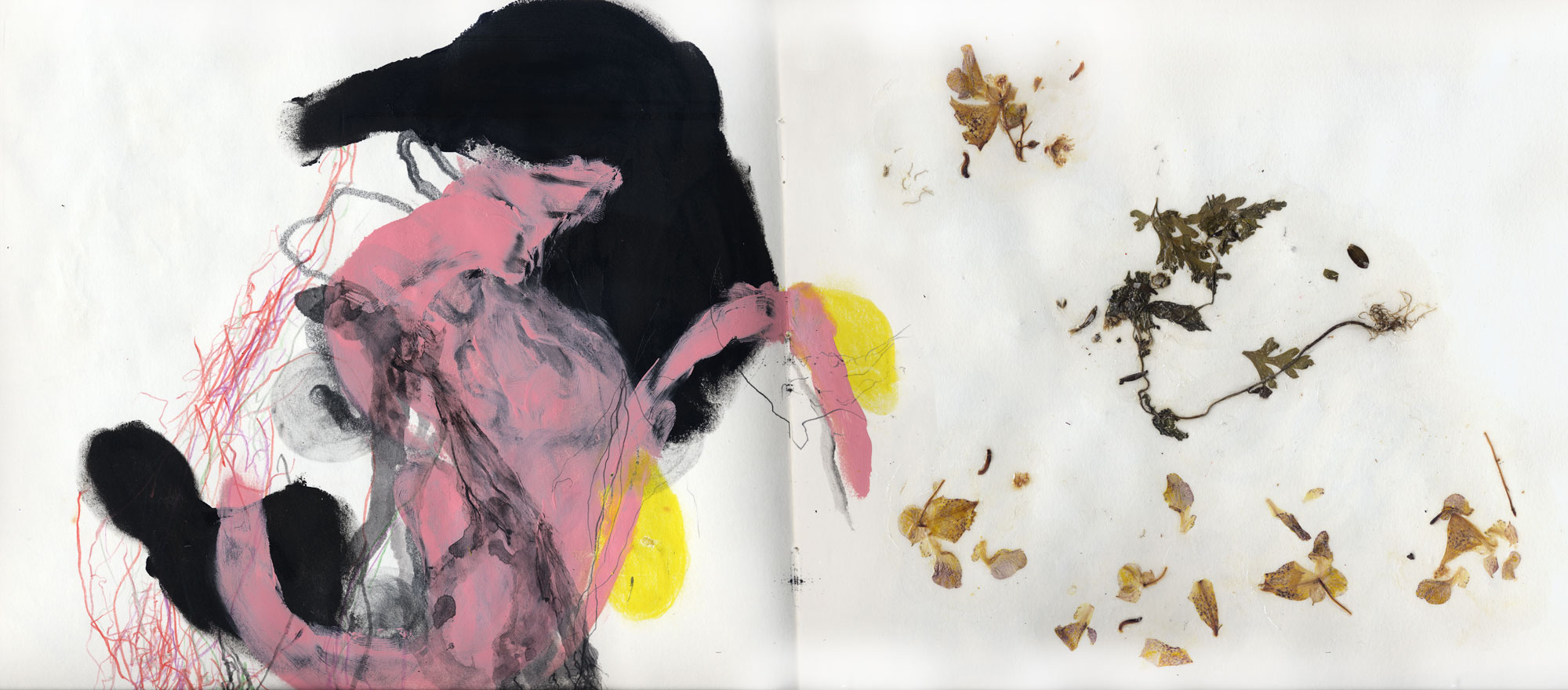 Marcello Mercado, HyperSammlung, Artist´s book, 22 pages, 2012