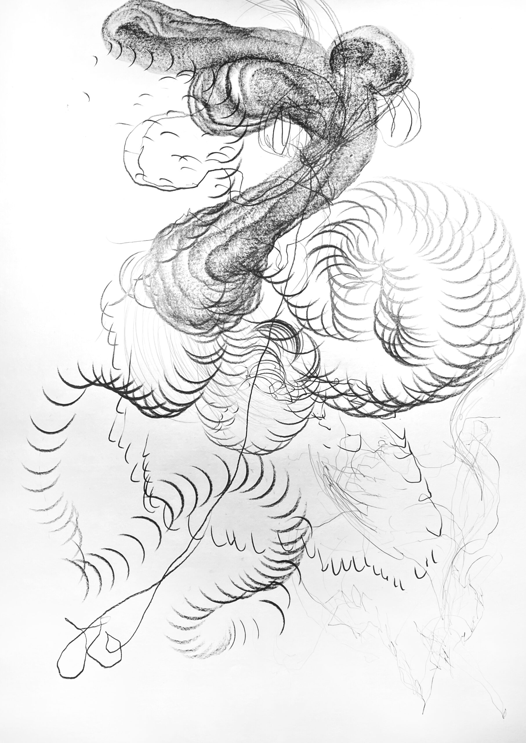 Marcello Mercado, drawing, 2022