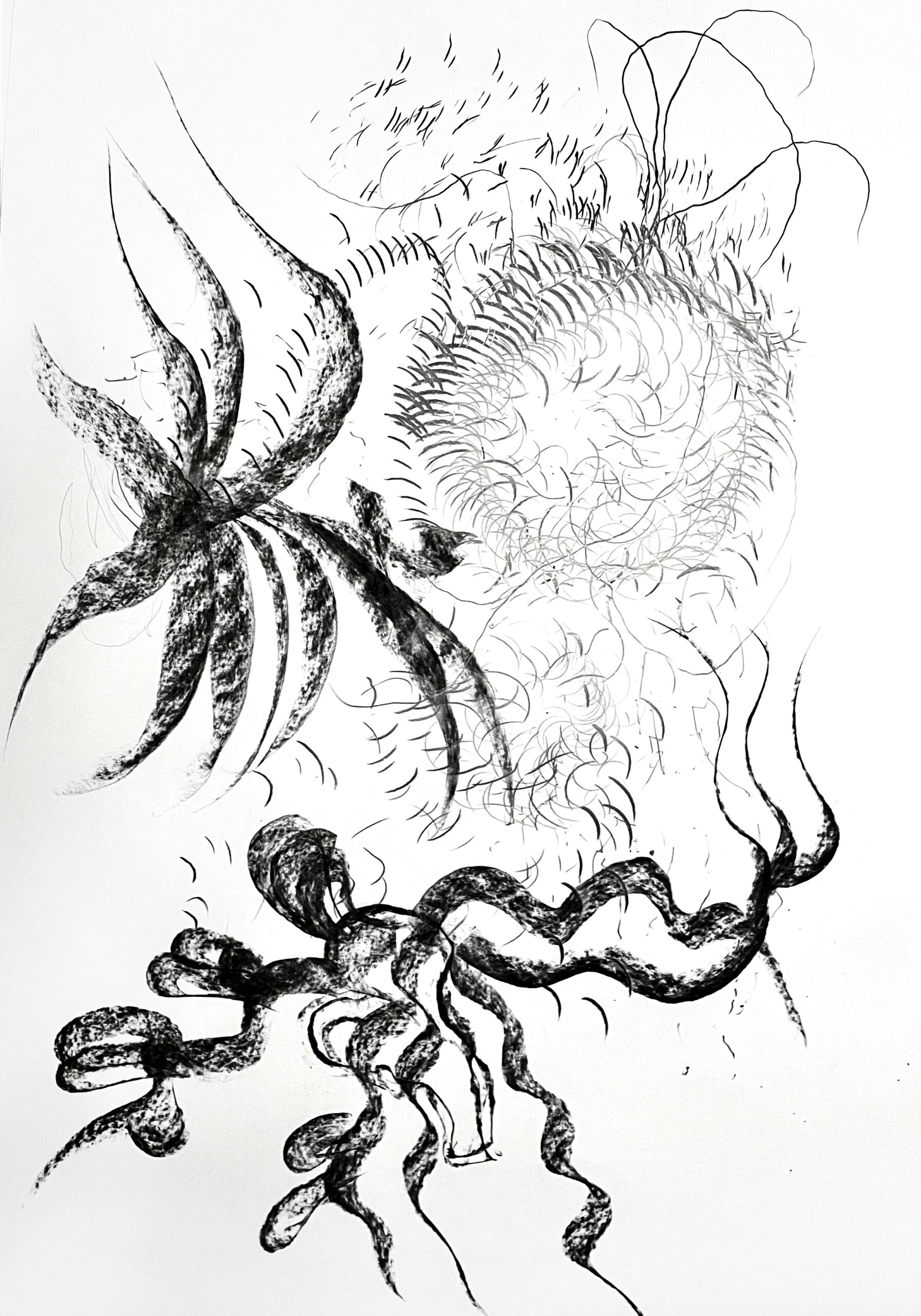 Marcello Mercado, drawing, 2022