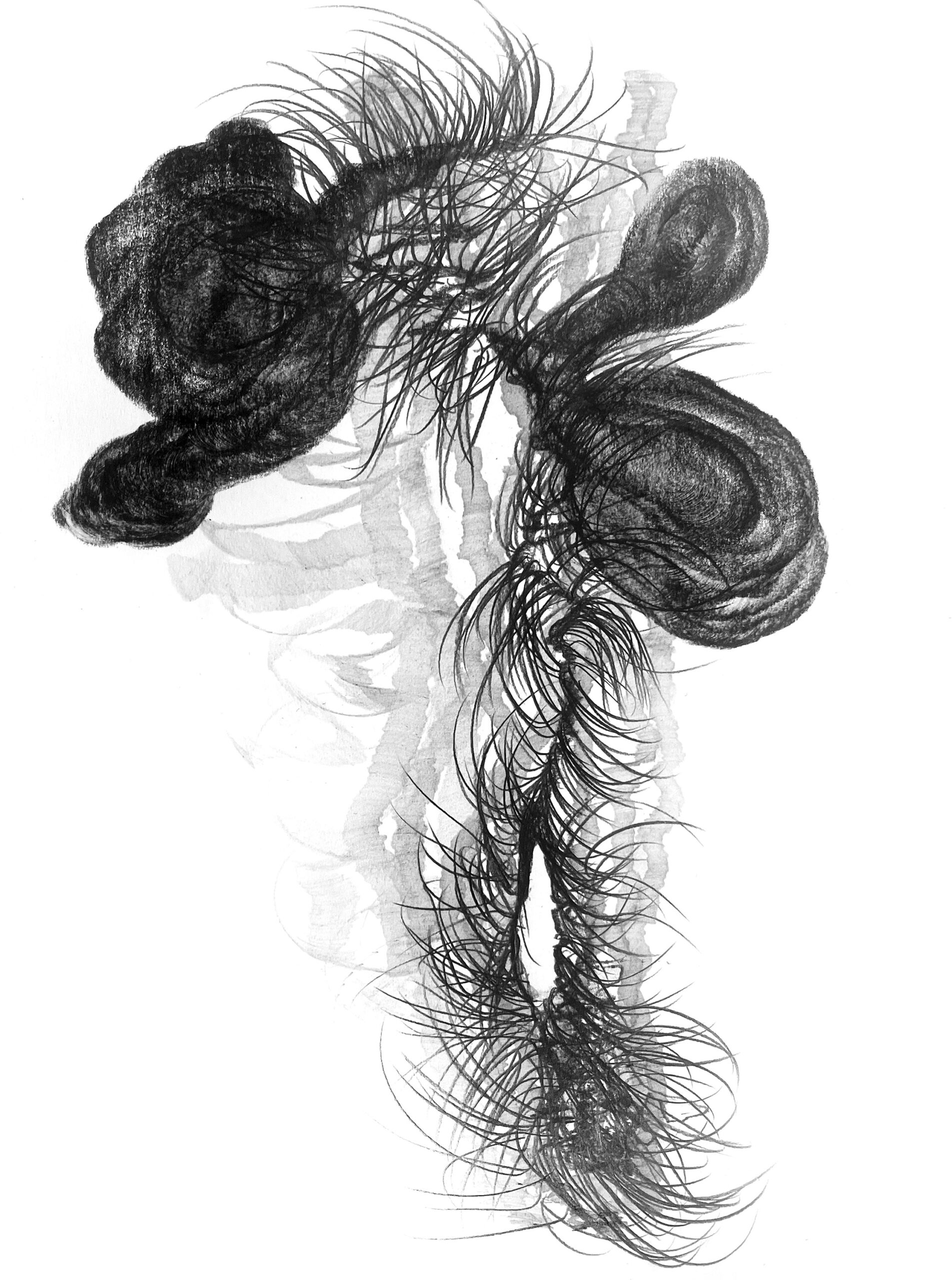 Marcello Mercado, drawing, 2023