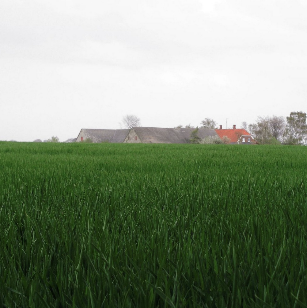 Gedesby, Denmark, 2005