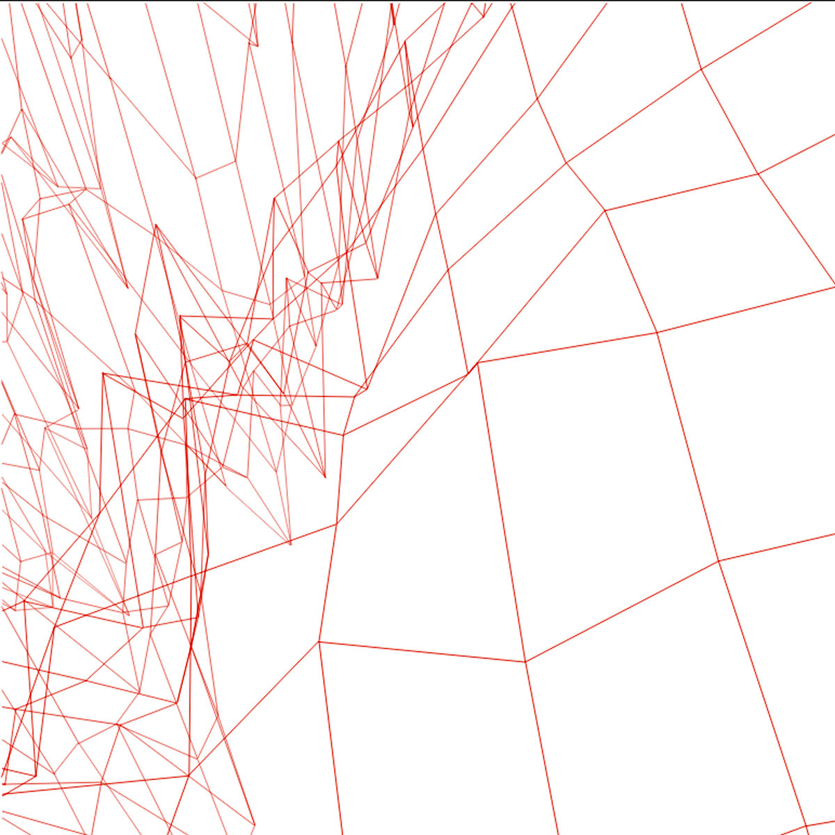 The North (Radikaal 01), 2006