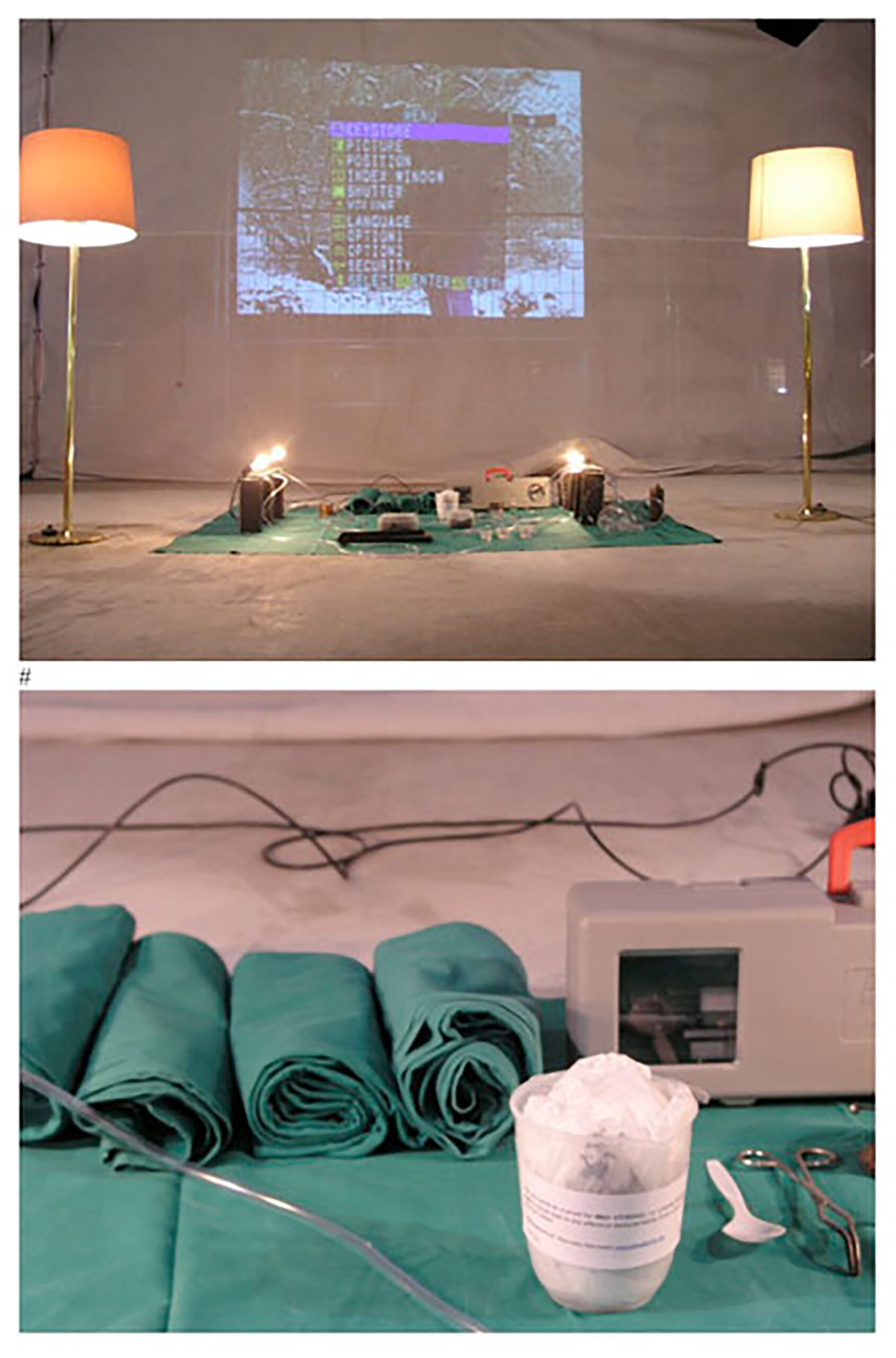 Marcello Mercado, Biorrealismus, Performance, 2005