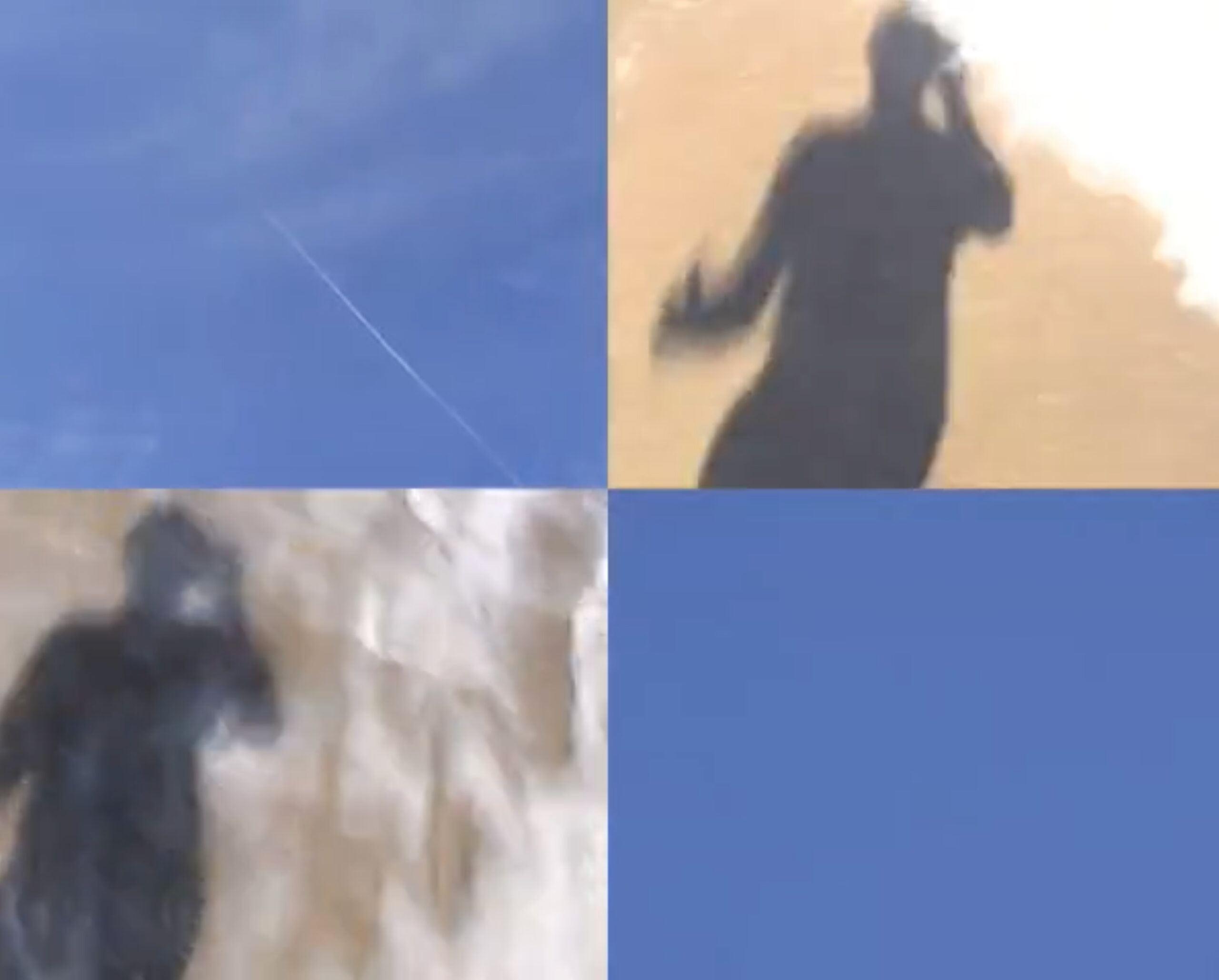 Marcello Mercado, Biographie, Performance, 2005