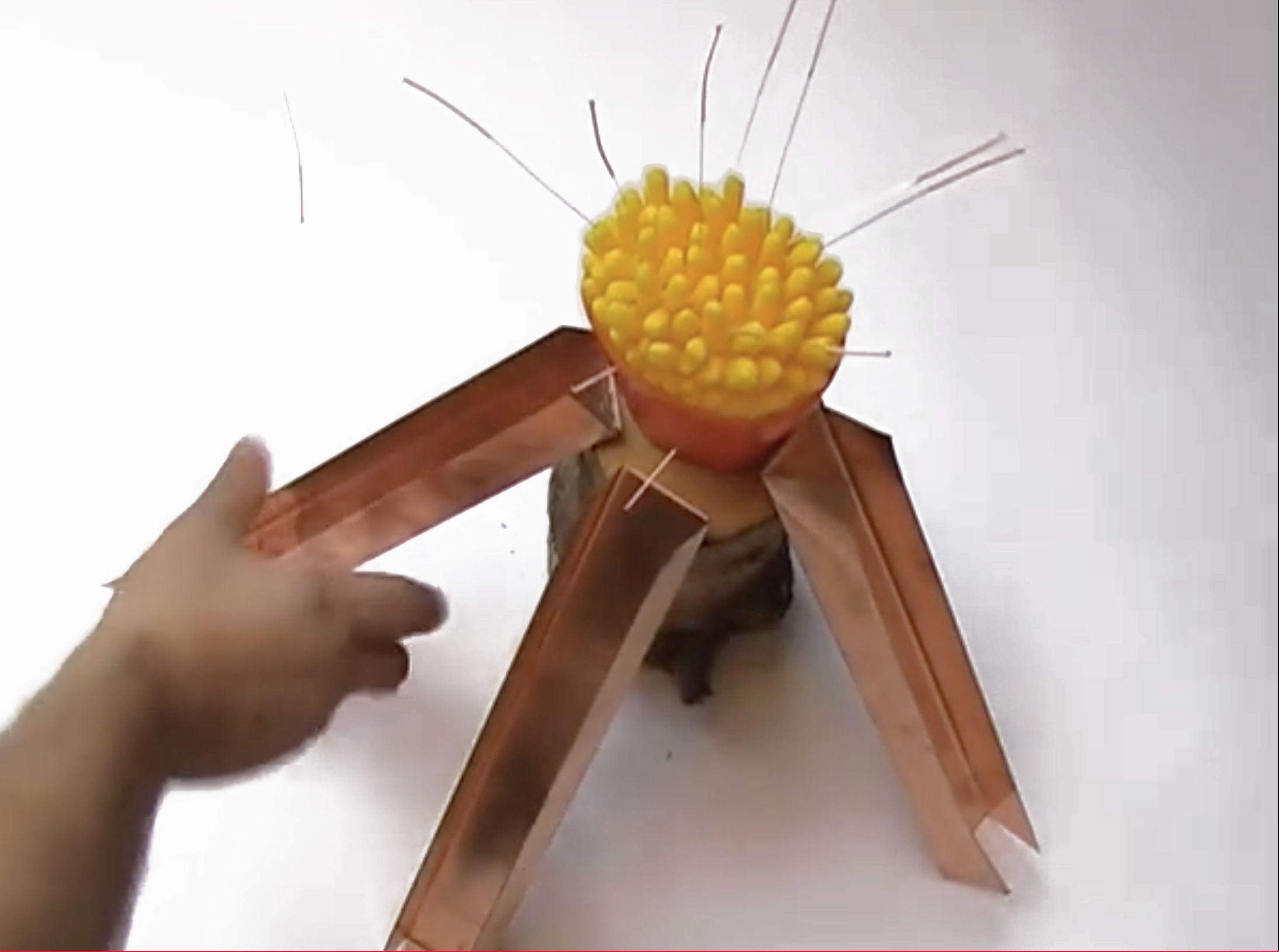 Marcello Mercado, Acupuncture, Performance, 2010