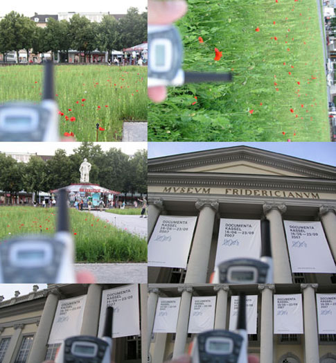 Making consistent volatile ideas by broadcasting bio-information through plants, DNA, worms and Radio Frequencies,